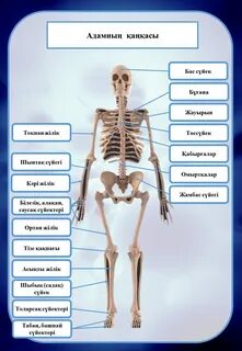 Орыс арық секс видео