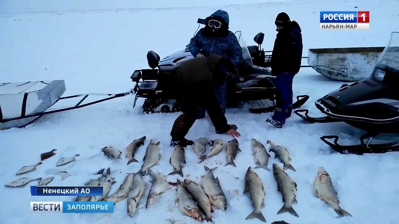 Погода в нарьян маре на 14. Рыбалка в Нарьян-Маре.