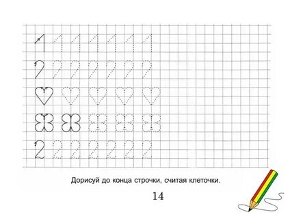 Прописи для дошкольников 5 6 в клетку