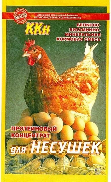 Можно ли давать курам помидор