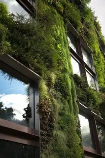 Innovative environment