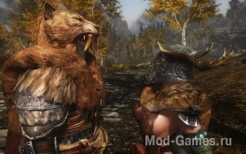 Skyrim player