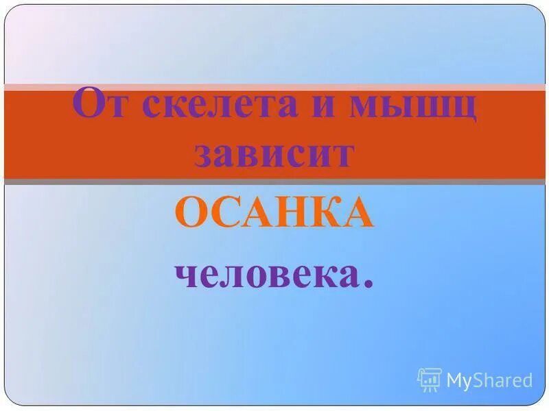 А ц д 2. А ц д 2