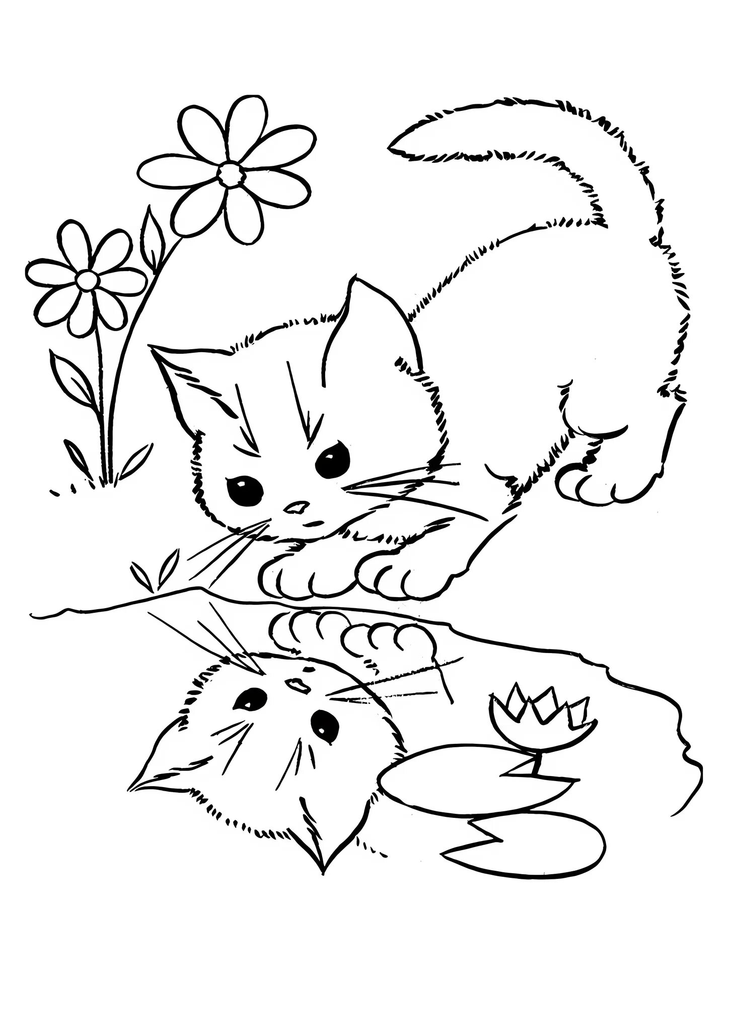 Раскраска. Котики. Котенок. Раскраска. Раскраска кот. Раскраска кошка с котятами