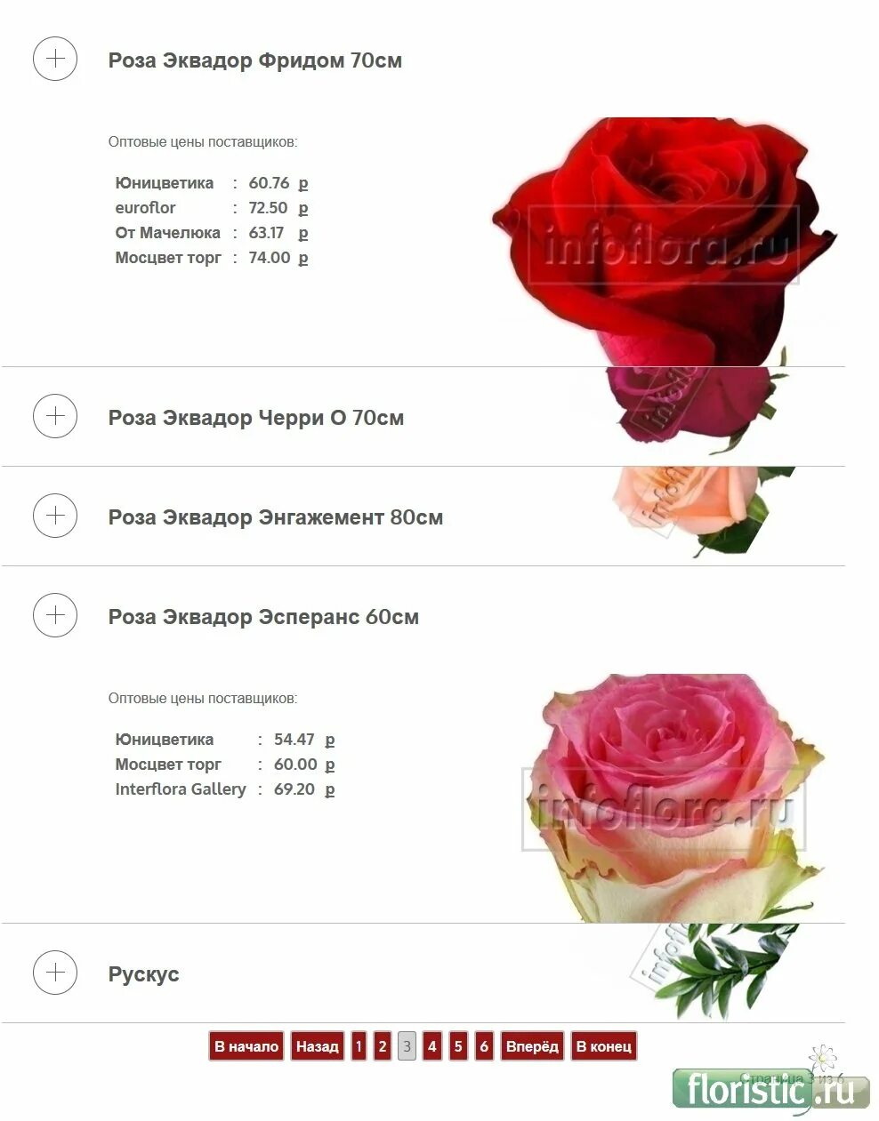 Сколько роз в россии. Сорта роз Эквадор. Эквадорские розы размер. Розы Россия и Эквадор разница.