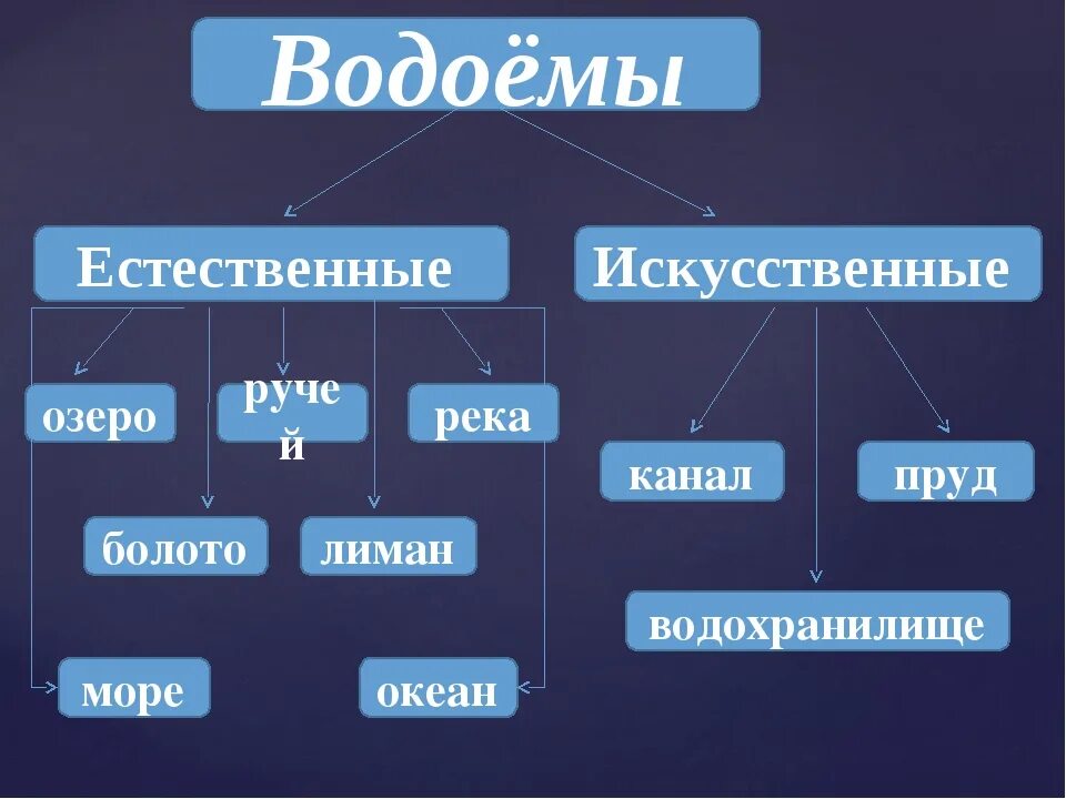 Виды водоемов. Естественные и искусственные водоемы. Классификация водоемов. Схема виды водоемов. Примеры водных групп