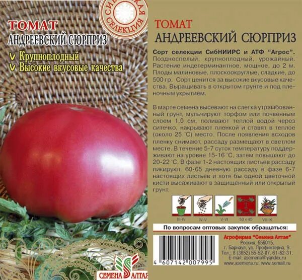 Сорт томатов андреевский сюрприз отзывы. Сорт томата андреевский сюрприз. сорт помидор андреевский сюрприз. томат андреевский сюрприз сибирский сад. помидоры андреевский сюрприз описание сорта.