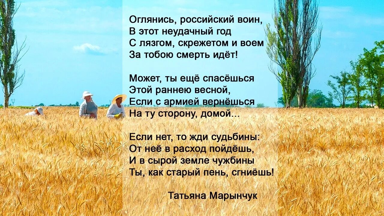 Стихи про Украину. Стих солдату. Стих солдату на Украину. Стихи о войне на Украине 2022. Стих про украину и россию