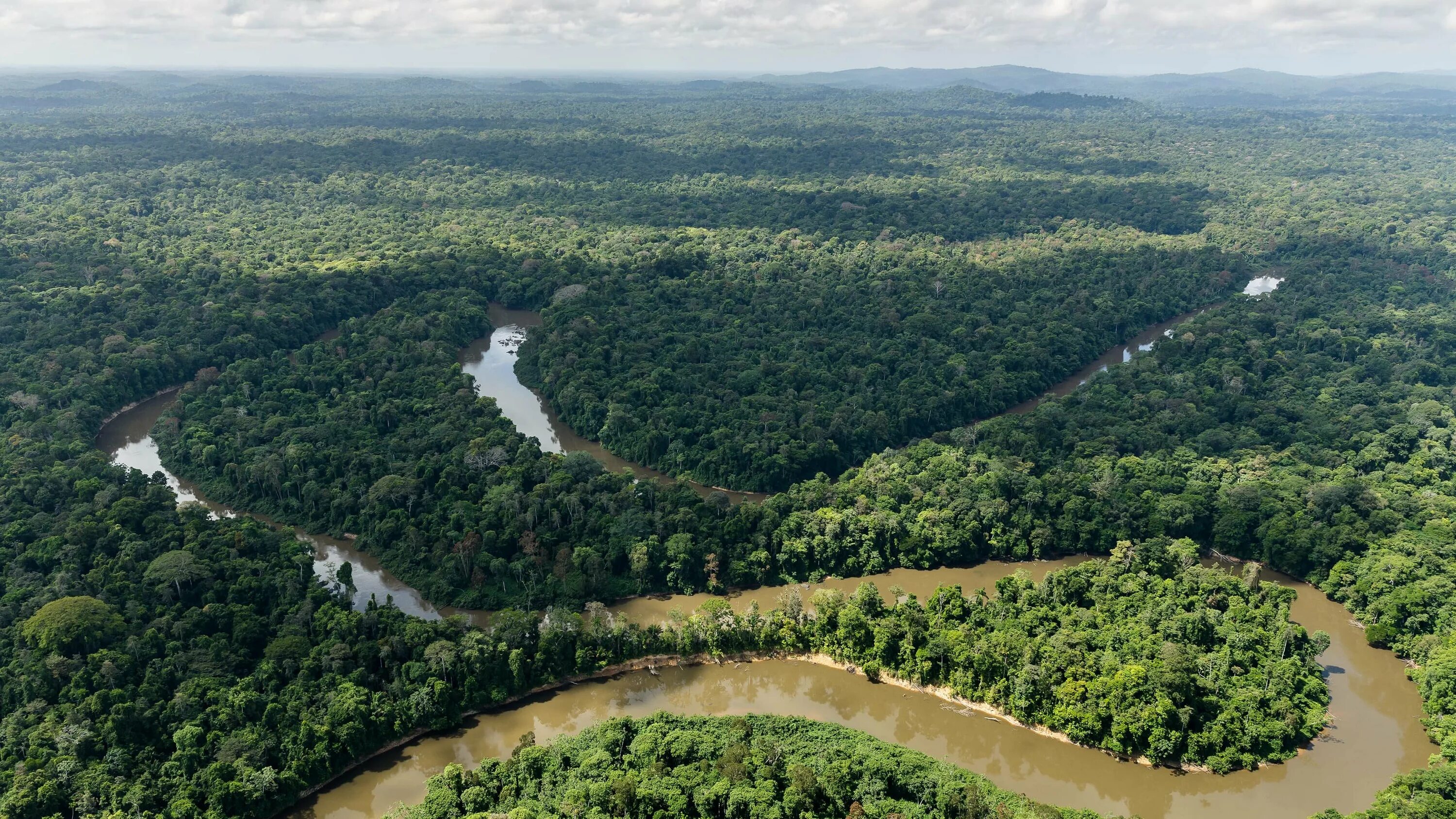 Какие крупные реки находятся на амазонской низменности. Бразилия Амазонская низменность. Амазонская Сельва Бразилии. Манаус Бразилия Амазонка. Дождевые леса Амазонии.