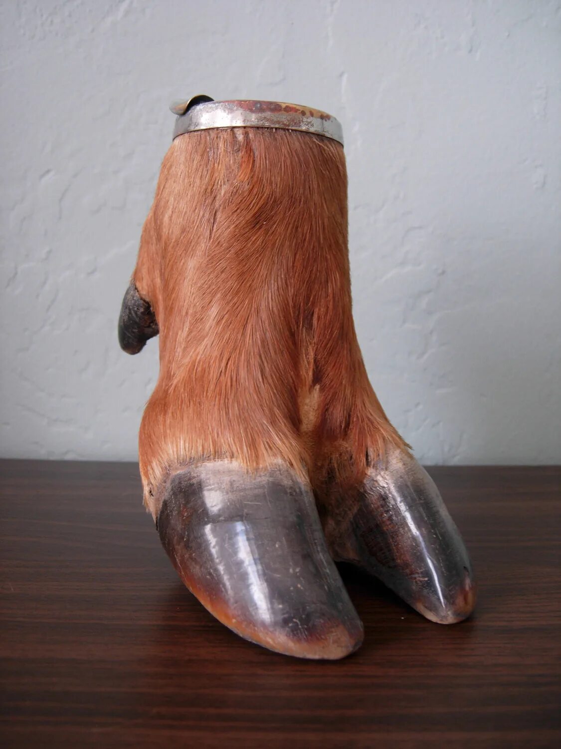 копыта оленя