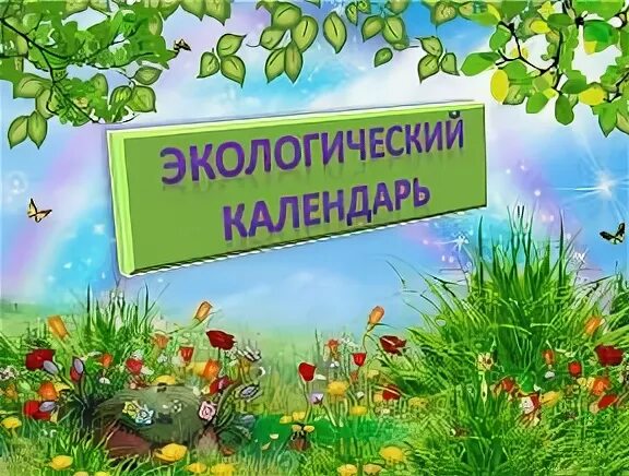 Окружающий мир 4 класс Как правильно изготовить Экологический календарь?