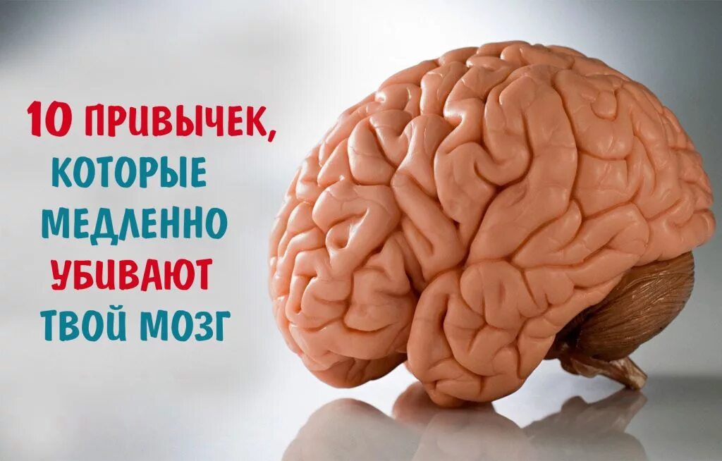 Насколько изучен человеческий мозг. Чинит мозг. Процент использования мозга. Мозг человека используется. Активность мозга.