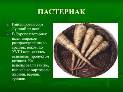 Корнеплод представляет собой