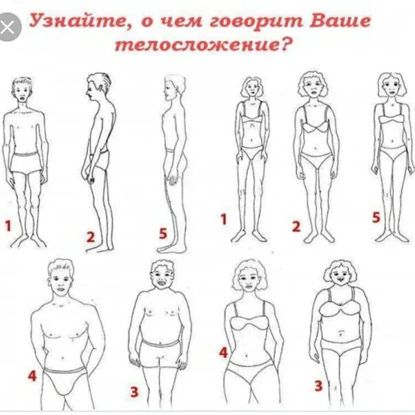 Травмы бурбо. Телосложение пациента. тип телосложения 5. травмы и телосложение. телосложение мазохиста.