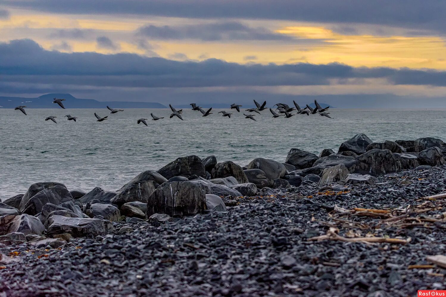 небольшой береговой мыс. чукотка море. береговой мыс. тихий берег картинки. чукотское море.