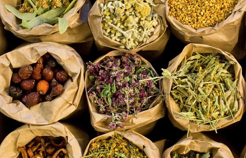 Заготовка сушка хранение. Сушка лрс. Сушка лекарственного растительного сырья. Сушеные травы. Сушка лрс.