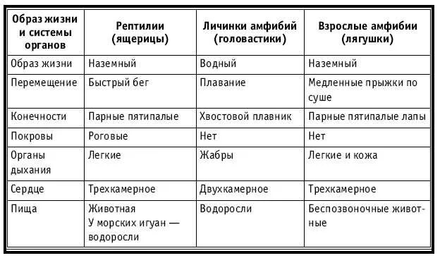 Сравнительная характеристика рыб и амфибий таблица 7 класс биология. Сравнительная таблица рыб земноводных и пресмыкающихся. Биология 7 класс таблица земноводные и пресмыкающиеся. Признаки земноводных и пресмыкающихся таблица 7 класс.