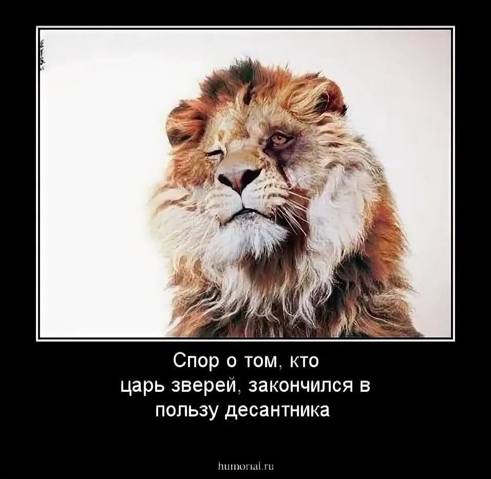 Песни царь зверей