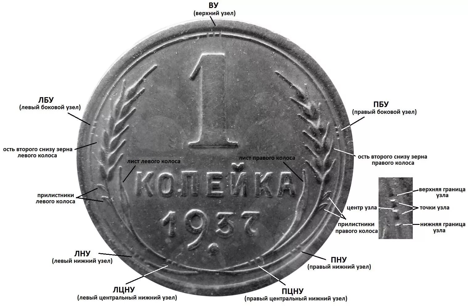 Монета обозначения. Монета с двумя обозначениями. Части монеты названия. Защитные знаки на монетах. Назовите изображенного на монете