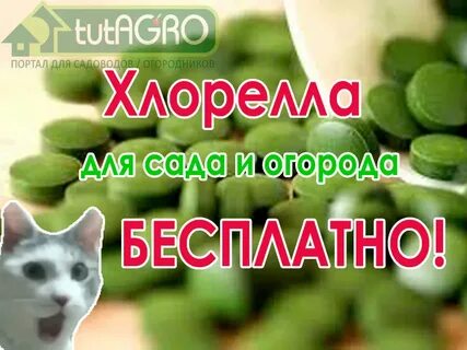 Тутагро