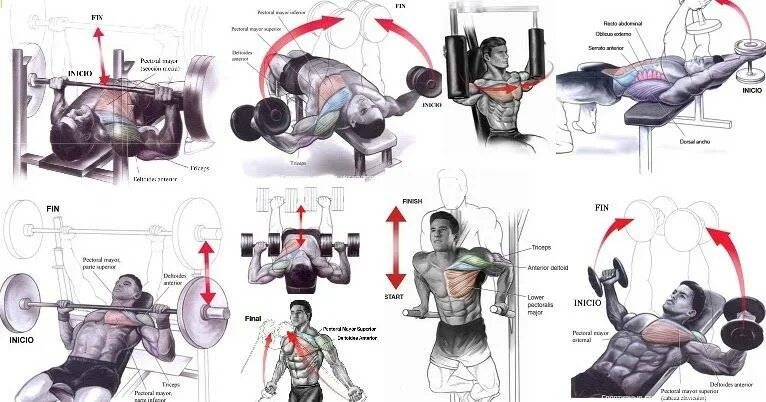 Упражнения на грудные мышцы в тренажерном зале. Упражнение для грудных мышц для мужчин в спортзале. Упражнения для тренировки грудных мышц в тренажёрном зале для. Прокачка грудных мышц в тренажерном зале для мужчин.