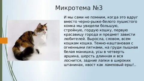 Урок 5 класс изложение ю ю