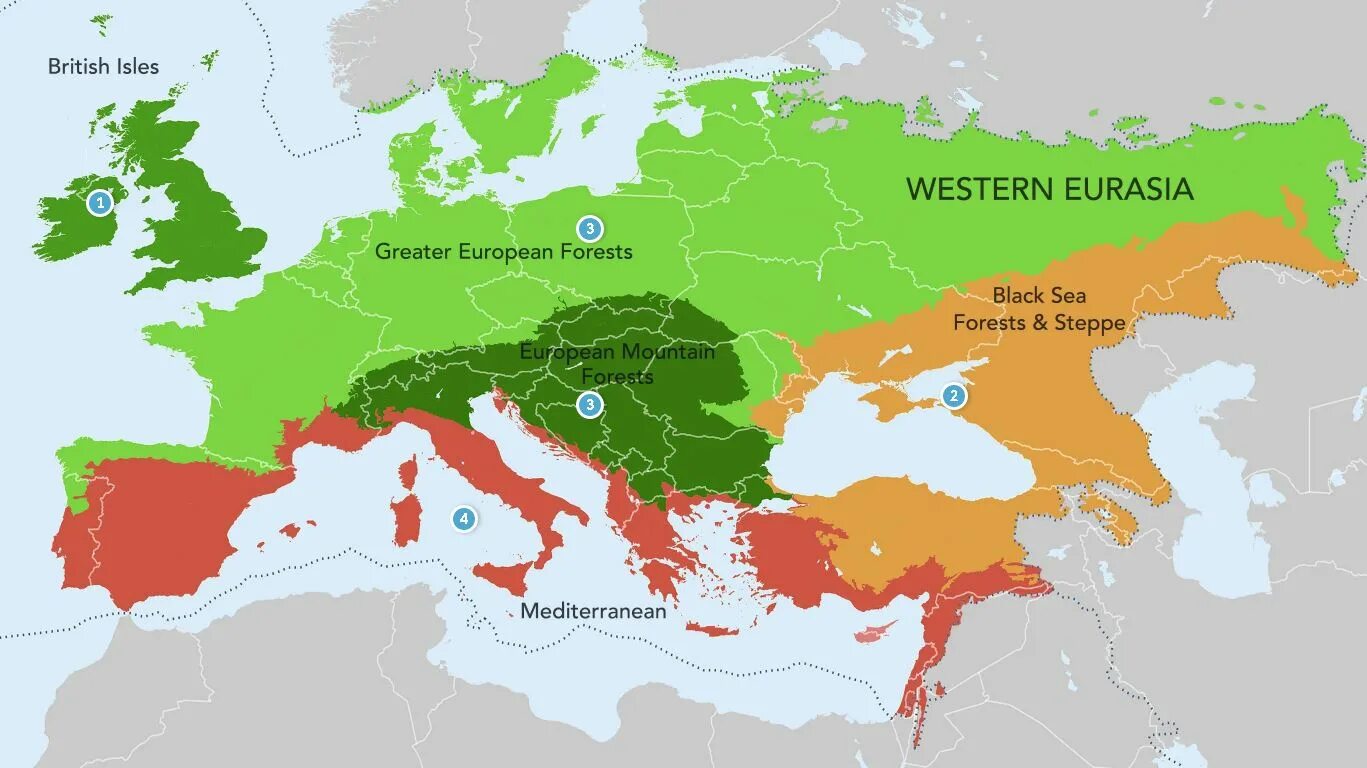 Страны северной евразии 7 класс. Западная Евразия. Северо Западная часть Евразии. Восточная часть Евразии. Запад Евразии.