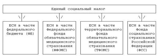 Структура единого социального налога. Структура ЕСН. Единый социальный налог зачисляемый в федеральный бюджет. Структура единого социального фонда. Уплата есн 2024