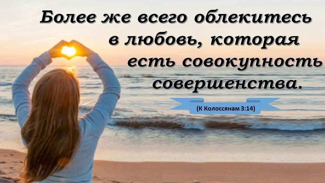 Цитаты из библии. Облекитесь в любовь которая есть совокупность совершенства. Любовь есть совокупность совершенства. Более всего облекитесь в любовь. Более всего облекитесь в любовь.