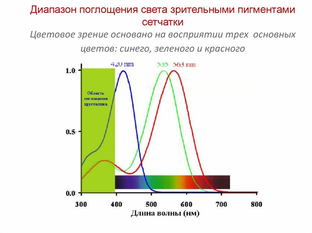 Соотношение поглощения. Соотношение поглощения