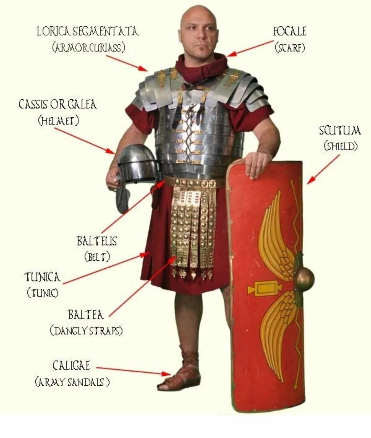 Основную массу римских воинов составляли. Римский легионер Лорика ХАМАТА. Римский легионер в Лорика сегментата. Костюм легионера древнего Рима. Римский доспех Лорика.
