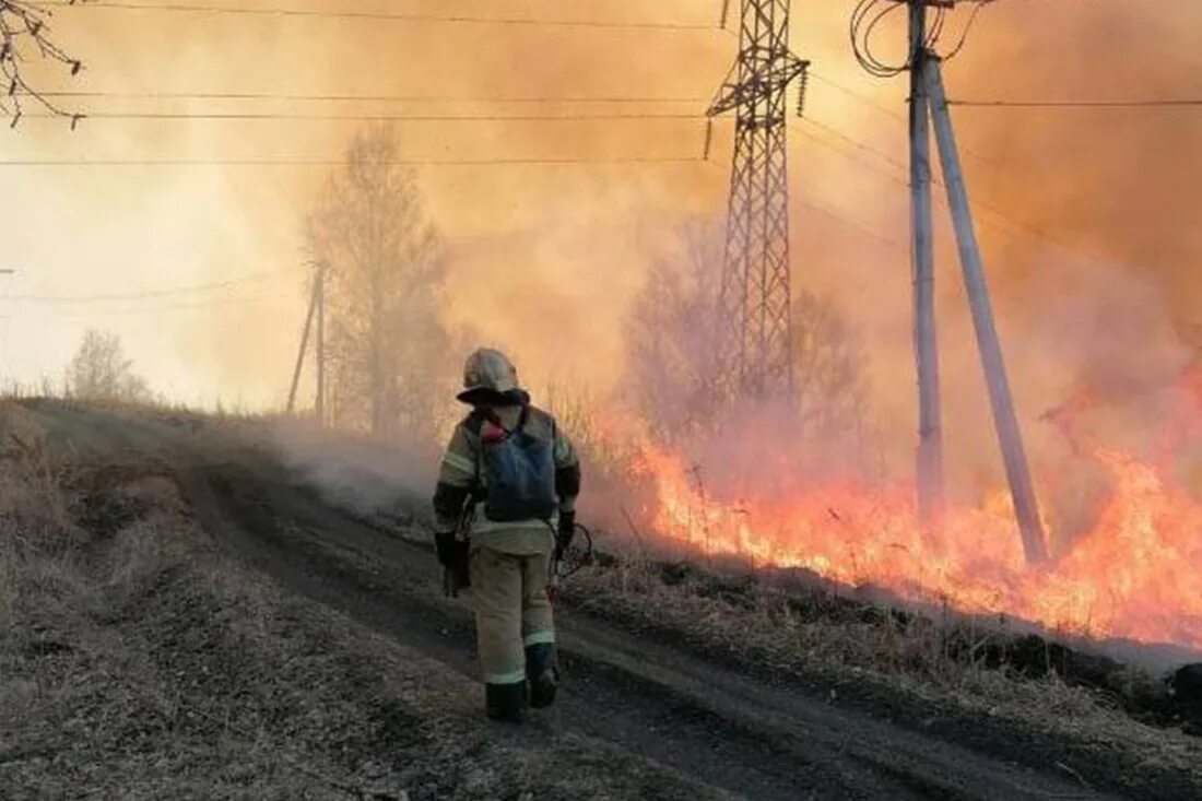 Сильные пожары в россии. Пожары в Сибири 2022. Пожар. Пожар фото. Лесные пожары в Сибири 2022.