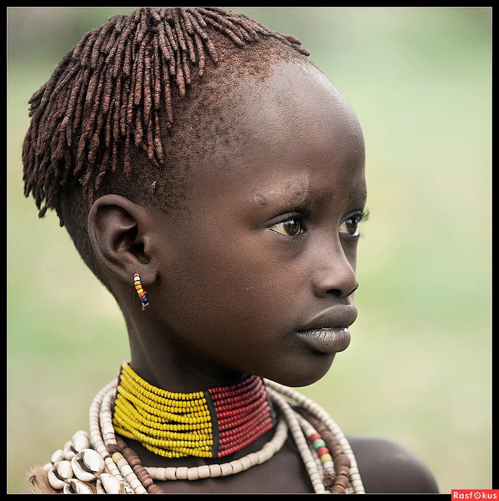 Эфиоп. Племя Хамер Эфиопия. Виктория Роготнева. Девушка племени Хамер Эфиопия. Эфиопы Эфиопия раса.