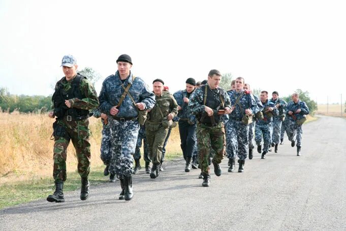 Луганский Беркут. Беркут отряд РФ. Беркут подразделение Крым. Беркут подразделение украины