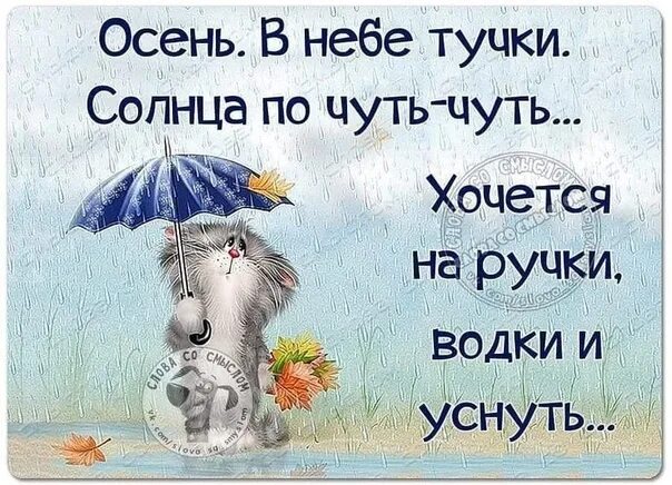 Дожди чуть чуть. Осень в небе тучки солнца по чуть-чуть. Хочется на ручки.