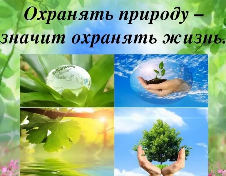 Классные часы на экологическую тему