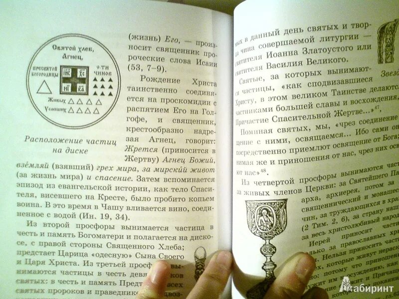 Чин православия последование. Чинопоследование всенощного бдения и литургии. Книга. Литургия Василия Великого последование. Парастас чинопоследование. Всенощная последование.