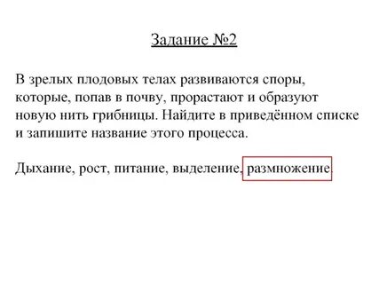 Является бесполым поколением развивается из споры