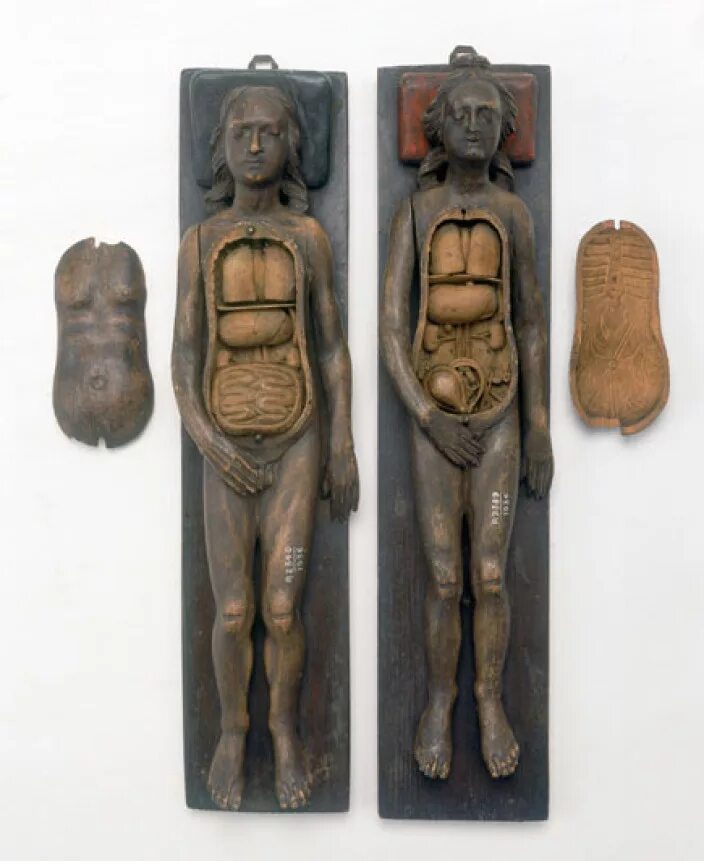 Защита от тёмных искусств гарри поттер эстетика. Страшный декор для хэллоуина. Тёмные искусства гарри поттер. Жуткое дерево. Жуткие предметы.