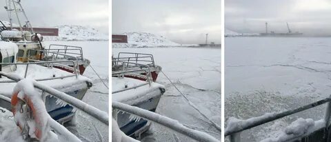 Трематом пестряк почему не замерзает