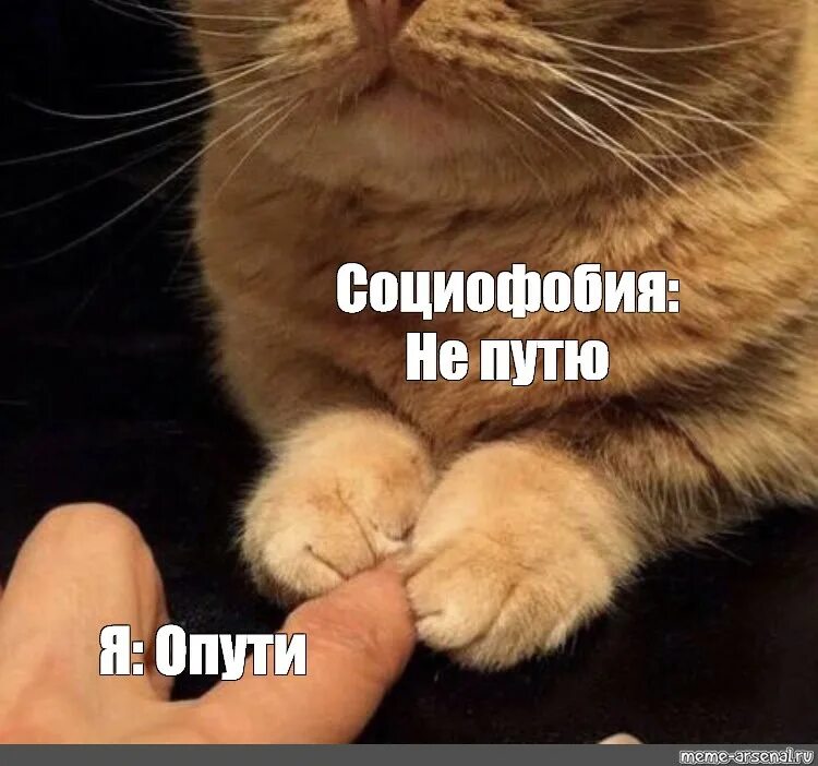 Социофобка