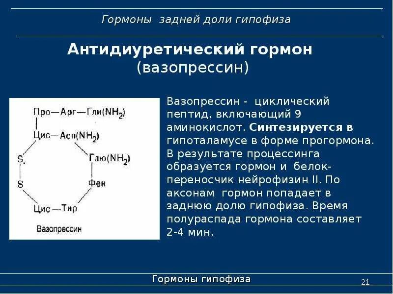 Гормон вазопрессин химическое строение. Вазопрессин формула химическая. Окситоцин биохимия формула. Химическая структура гормонов окситоцин.