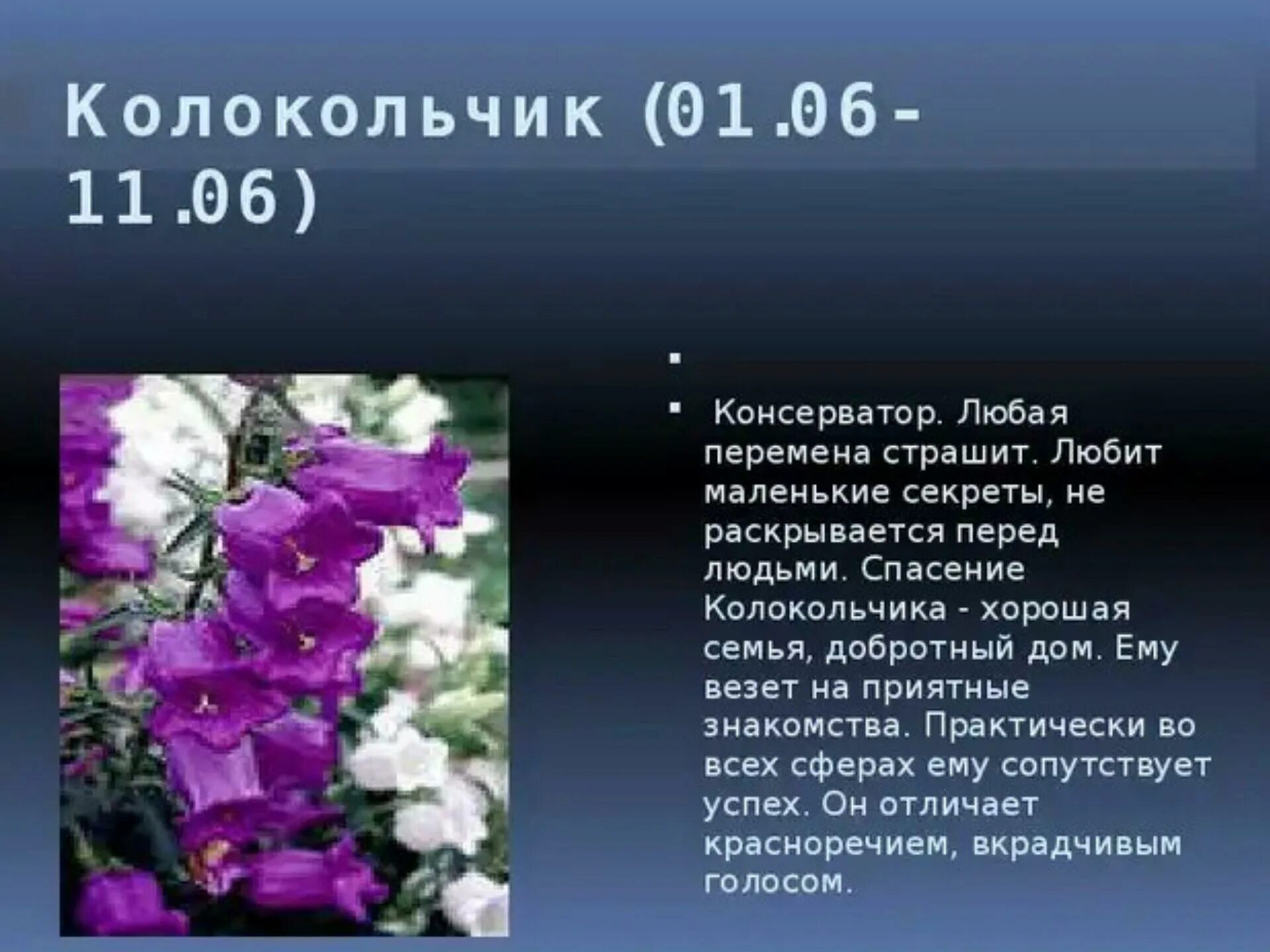 Дева цветок по гороскопу. Цветочный гороскоп. Цветы и растения по гороскопу. Цветочный гороскоп по месяцам. Цветочный гороскоп по Дню рождения.