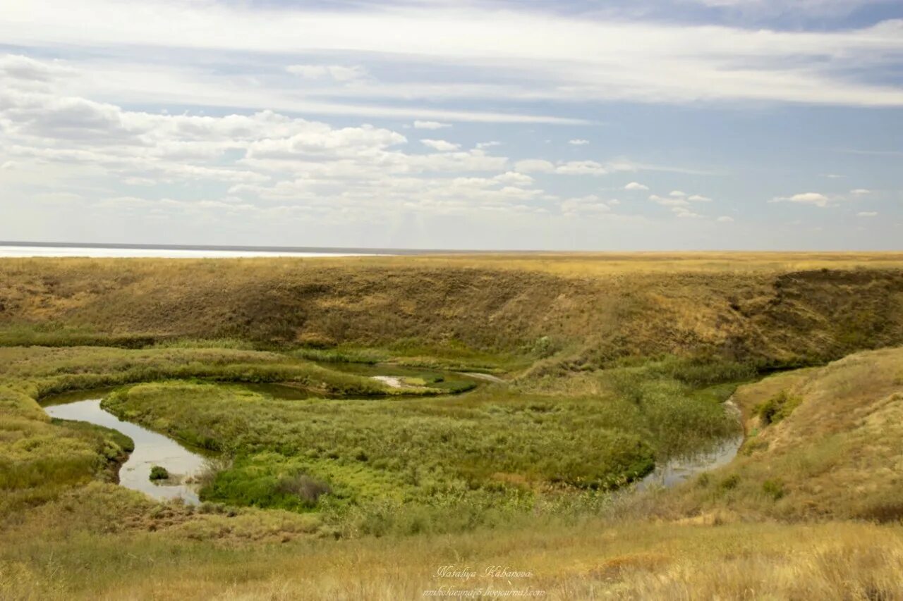 Воды степи в россии. Река Калаус. Ипатово река Калаус. Долина реки Калаус. Река солянка Волгоградская область.