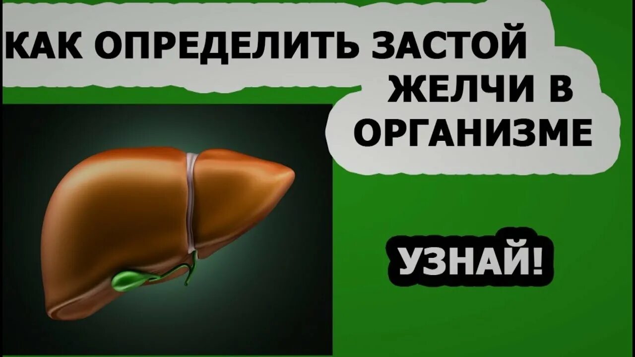 Застойный желчный пузырь. Застой желчи застой желчи. Как определить застой желчи.