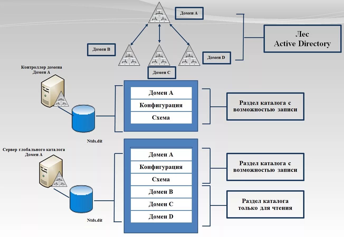 Каталог доменов. Доменная структура Active Directory. Служба каталогов Active Directory. Схема домена Active Directory. Структура каталога Active Directory.