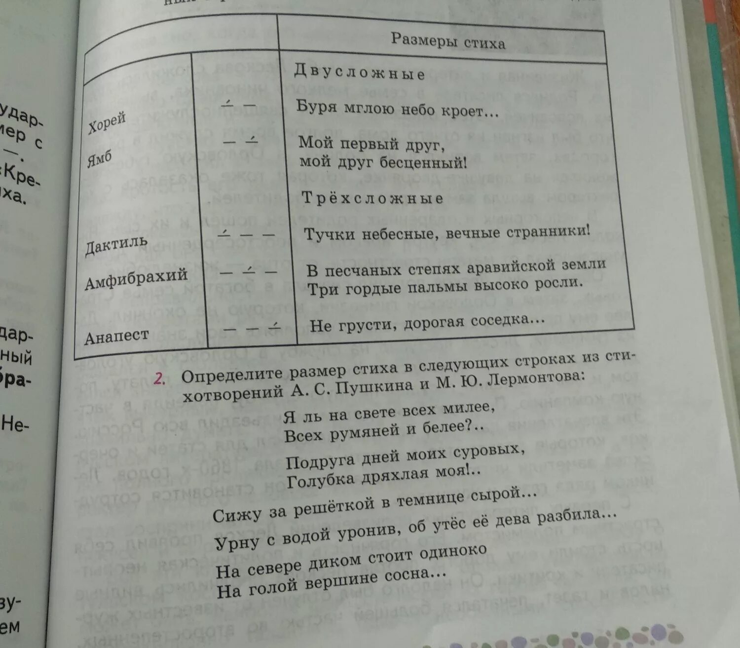 Стихотворение пушкина мой первый друг. Мой первый друг мой друг бесценный размер стиха. Размер стихотворения мой первый друг. Определить размер стиха мой первый друг. Стихотворные Размеры мой первый друг мой.