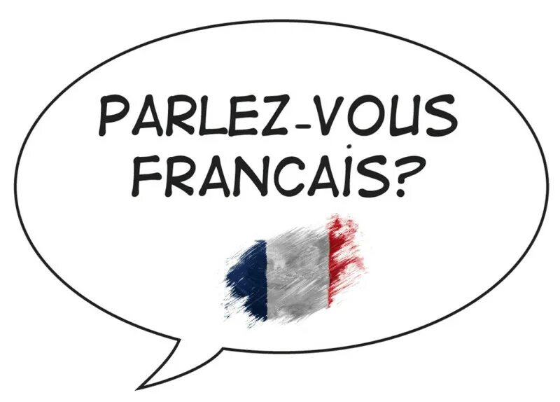 Parlez-vous français обложка книги. Parlez vous français. Репетитор французского. French class. Parlez vous français.