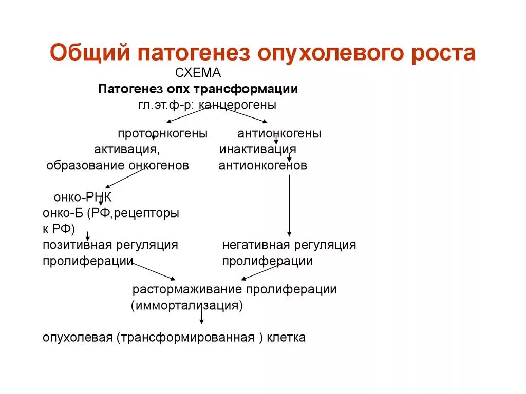 Механизм развития опухоли патофизиология. Патогенез опухолей патофизиология. Этиология опухолей патфиз. Патогенез злокачественных опухолей патофизиология. Общая этиология общий патогенез