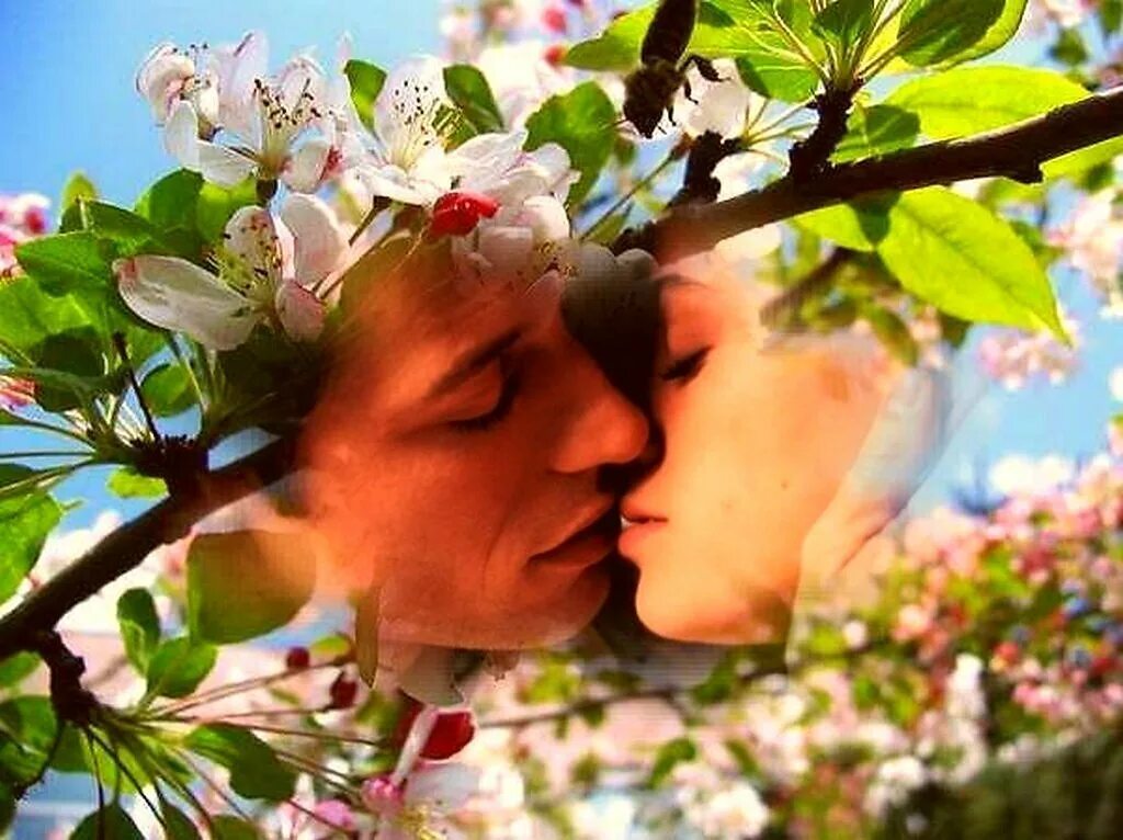 Весенняя любовь песня. Весенний поцелуй.